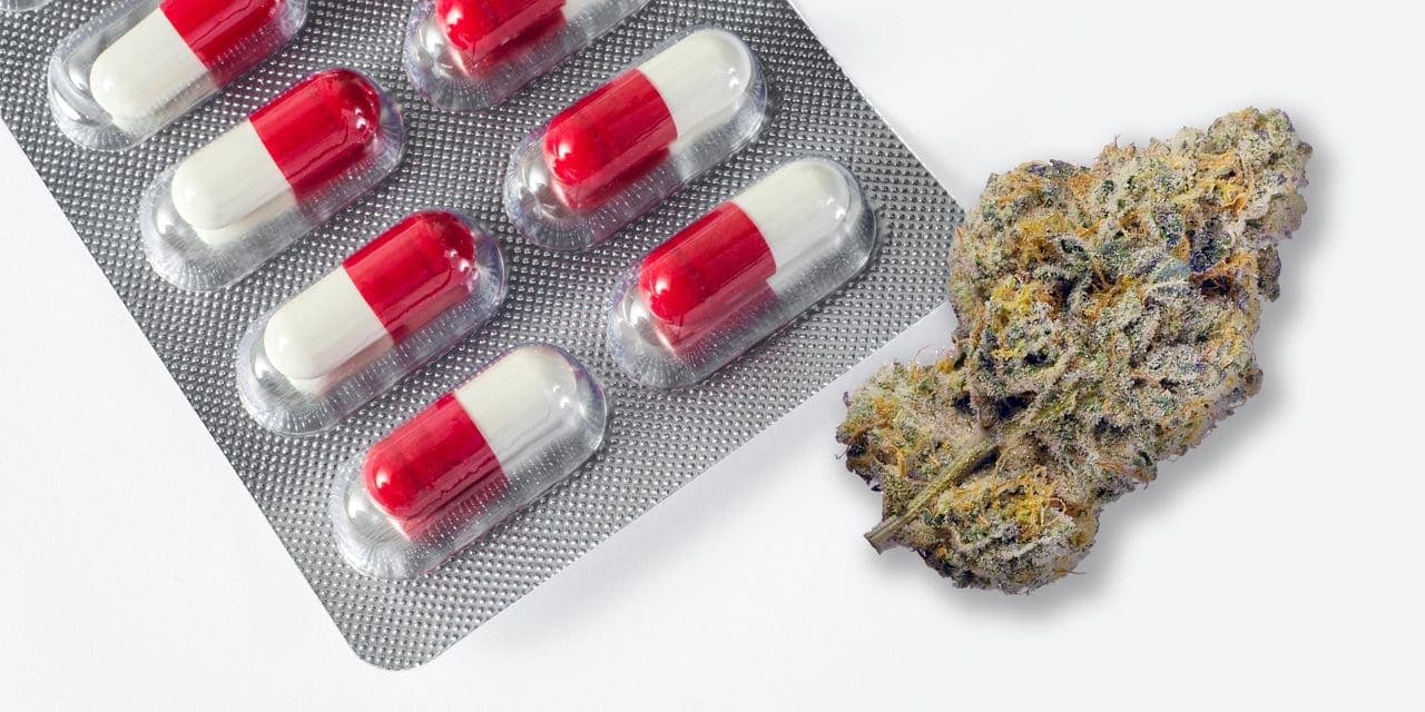 pregabalin and marijuana